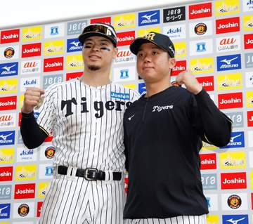 【解説】阪神・村上 カウントが不利になっても低めの球で立て直していた