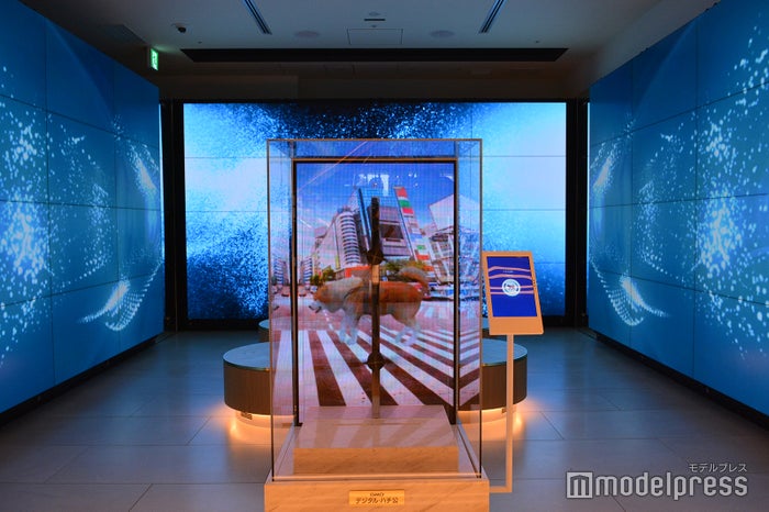 東急プラザ渋谷（C）ビューティーガール