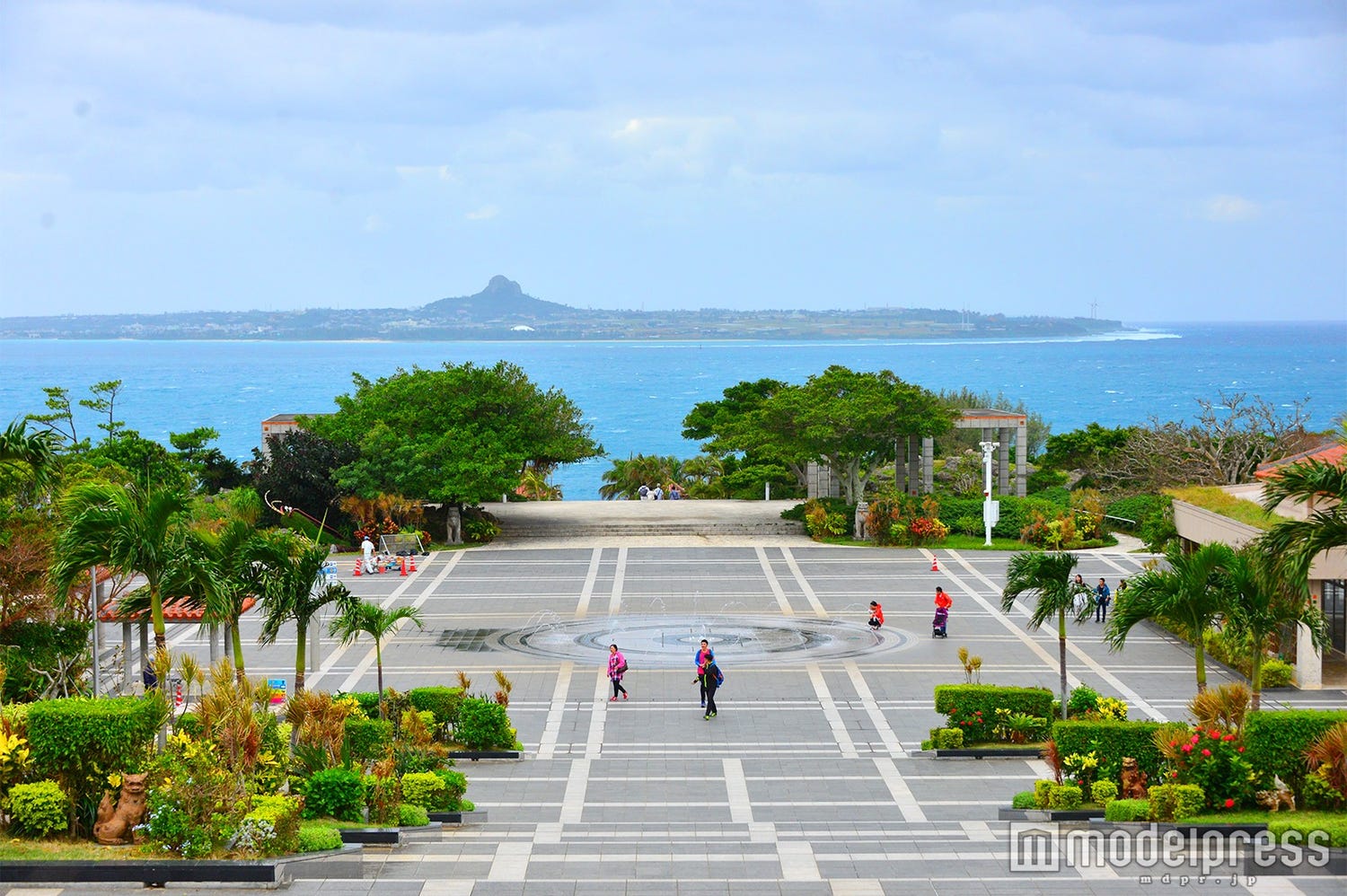 海だけじゃない!冬の沖縄観光は“やんばる”へ【1泊2日モデルコース】