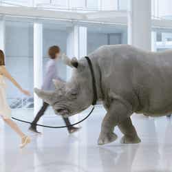 前田敦子が出演する転職情報サイト「マイナビ転職」の新テレビCM「メッセージ篇」のワンカット