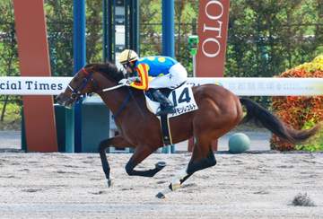 【新馬戦】サイモンレコルト 末脚一気だ初陣星 幸が高評価「すごくセンスのあるレースだった」
