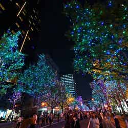 過去の開宴式の様子/提供素材