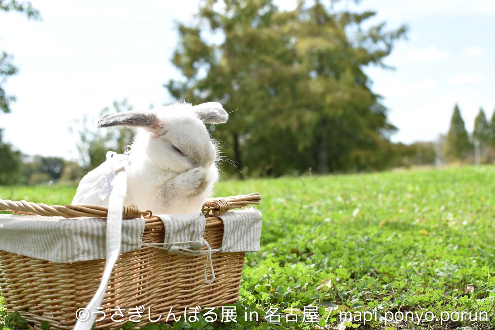 「うさぎしんぼる展 in 名古屋」／画像提供：株式会社BACON