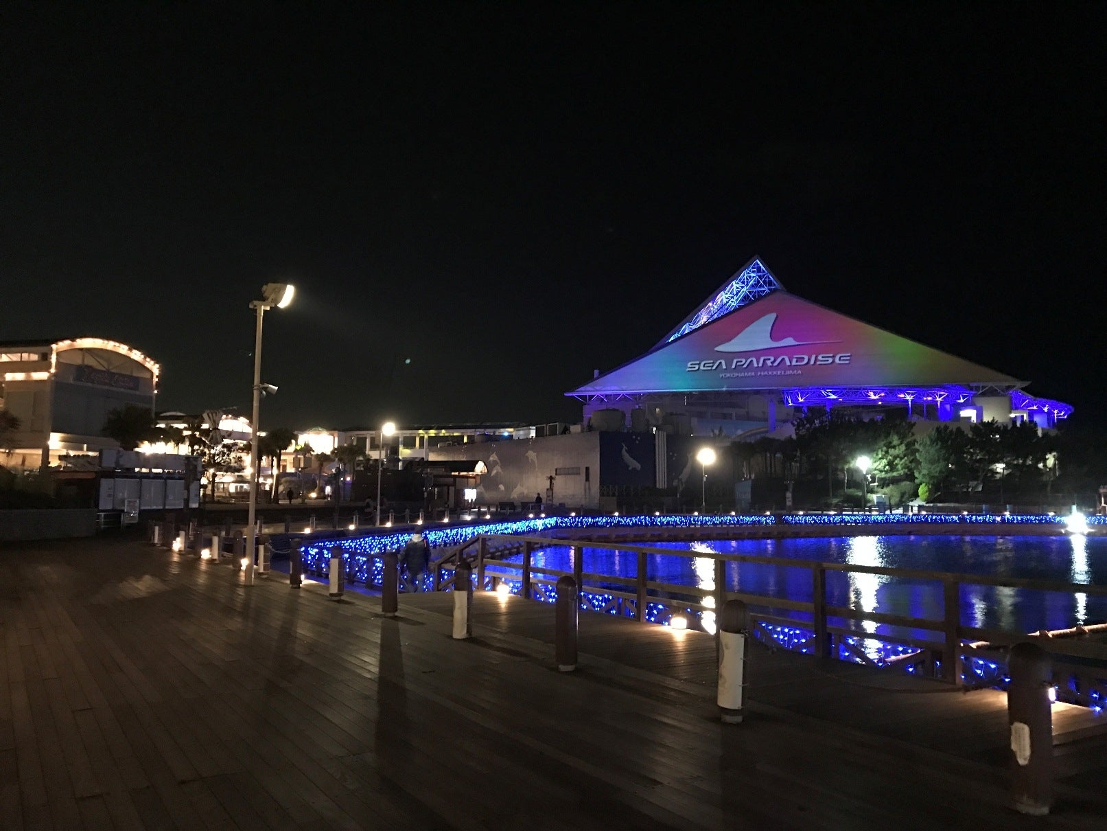 アクアミュージアム前広場から／画像提供：横浜八景島