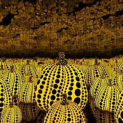《南瓜へのつきることのない愛のすべて》 2016年(C)YAYOI KUSAMA