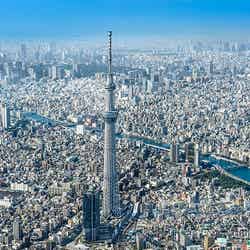 東京スカイツリー／画像提供：東武タワースカイツリー