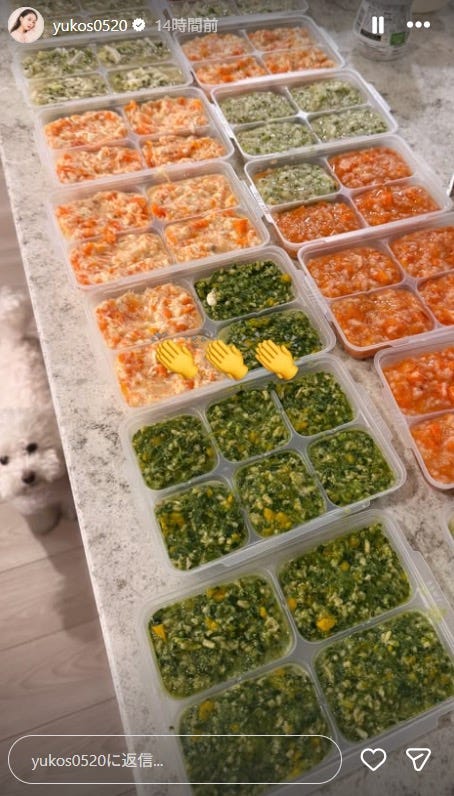 ゆうこすInstagramストーリーズより