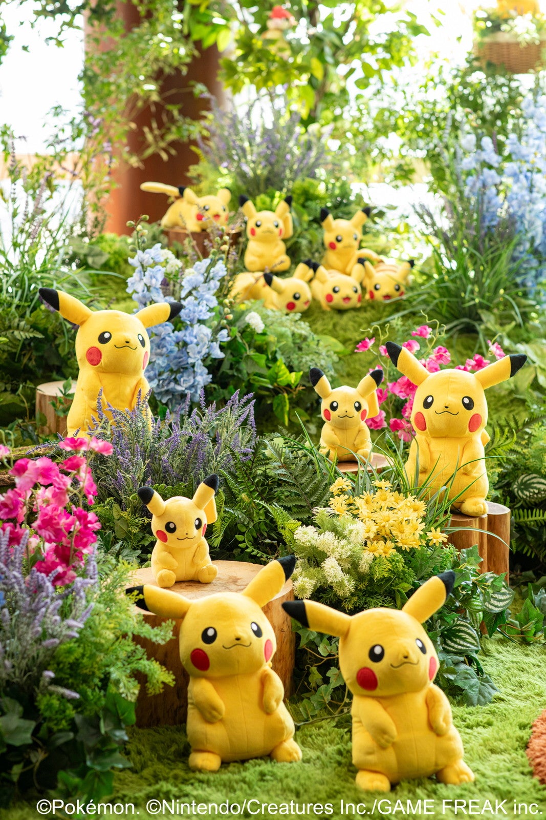 （C）Pokemon. （C）Nintendo/Creatures Inc./GAME FREAK inc.   ポケットモンスター・ポケモン・Pokemonは任天堂・クリーチャーズ・ゲームフリークの登録商標です。