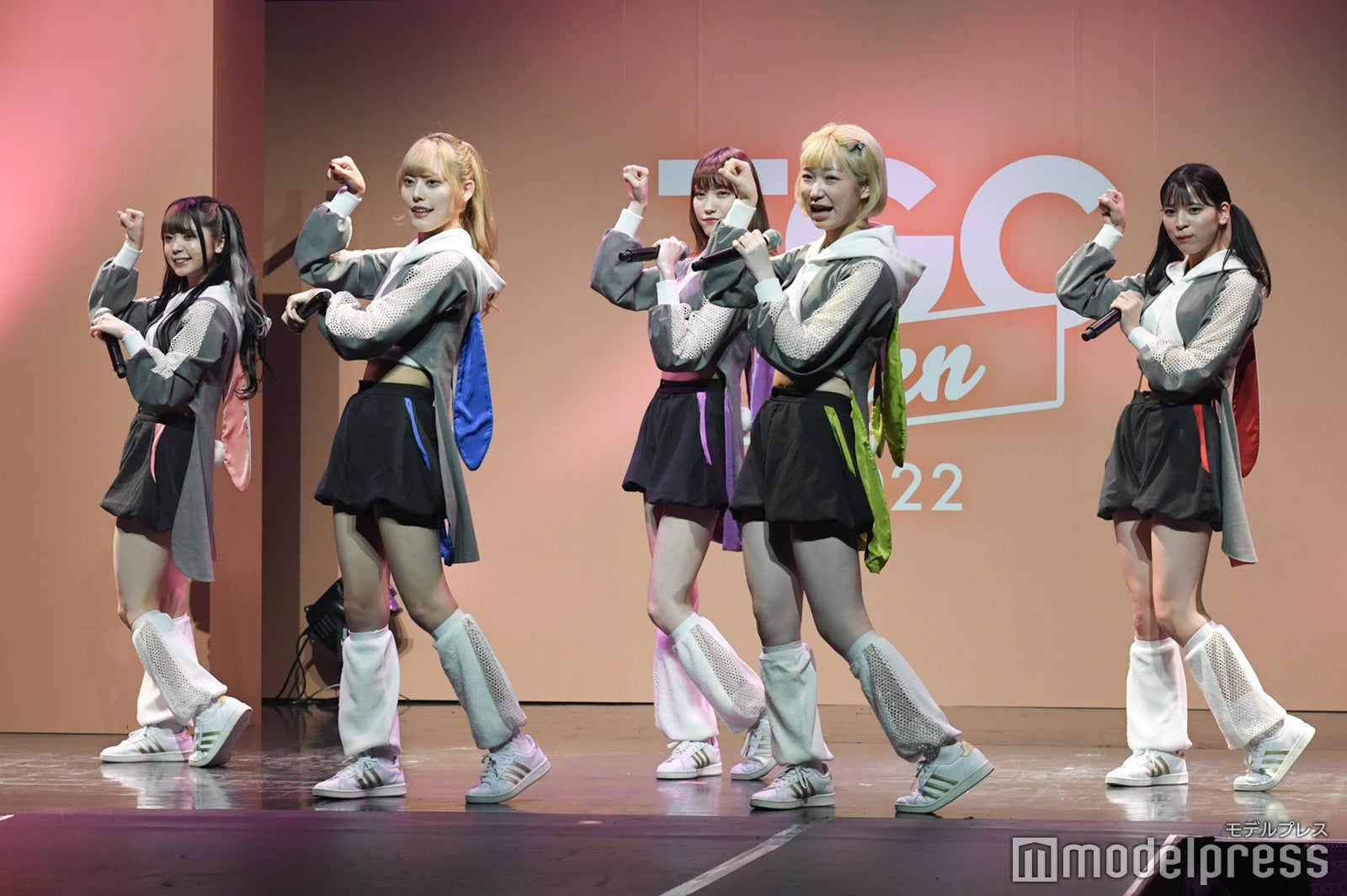 豆柴の大群（C）モデルプレス