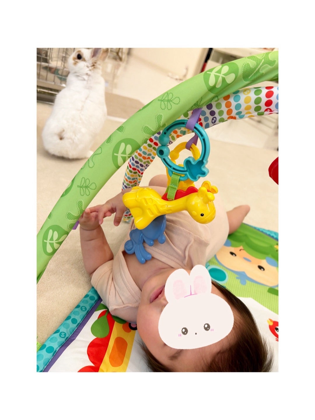 安めぐみ公式ブログより