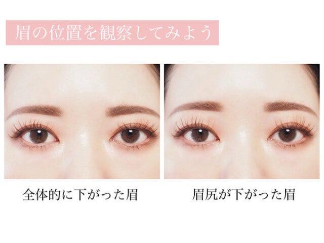 眉の観察 全体的に下がった眉 眉尻が下がった眉 眉の観察 全体的に下がった眉 眉尻が下がった眉