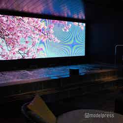 サーマルスプリング/ホテルインディゴ箱根強羅(C)モデルプレス