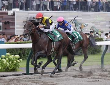 【エルムS】ルクソールカフェ 復活の白星！重賞2勝目 豪脚で他馬ねじ伏せる 岩田望が相棒称える「今後、飛躍してくれそう」