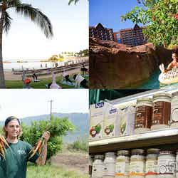 「大人のハワイ女子旅」アウラニを遊び尽くす4泊5日モデルプラン【後編】