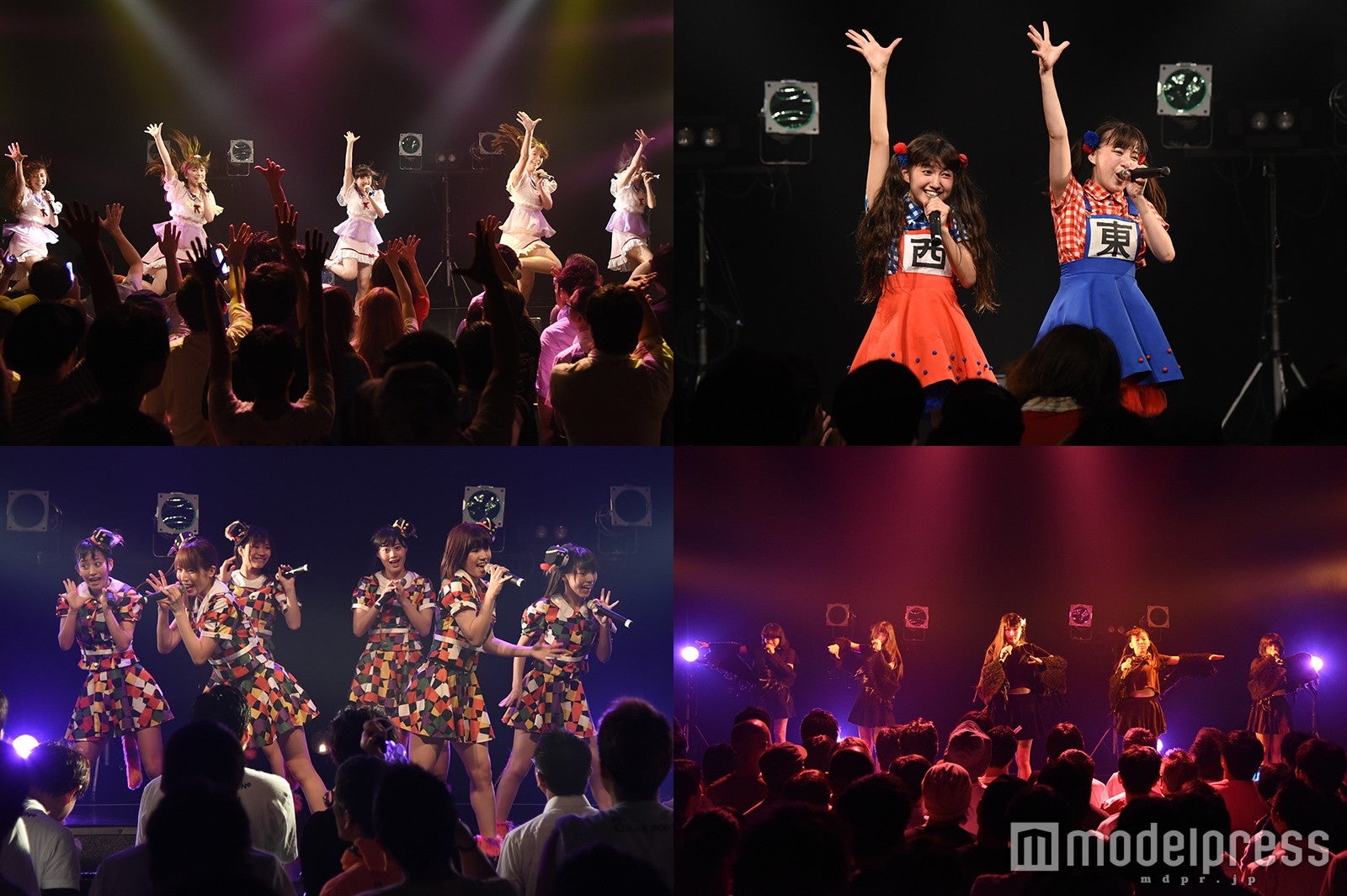 注目のグループ集結！生うどん、ベルハー、Ange☆Reve、SiAM＆POPTUNeら「新進気鋭アイドル祭」でパフォーマンス
