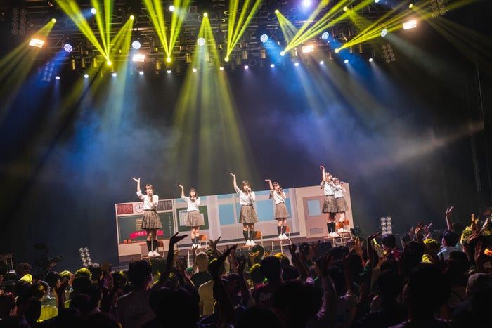 かすみ草とステラ/撮影:真島洸 (提供写真)