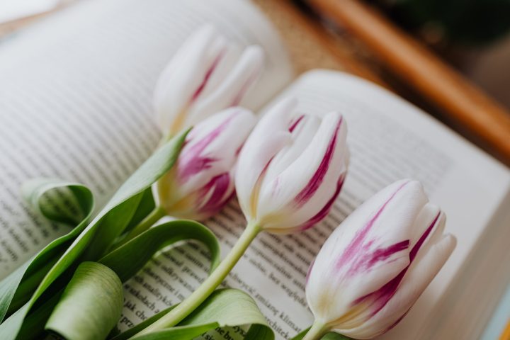 白い花の美しい花言葉一覧 恋愛や感謝を意味する贈り物にも最適な花をご紹介 モデルプレス