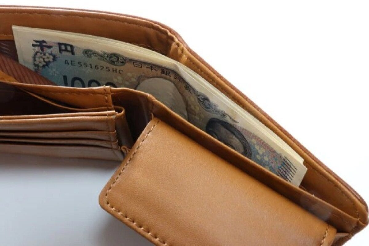 ダイソー　2つ折財布（レザー調）　使用例