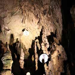 日原鍾乳洞(提供画像)