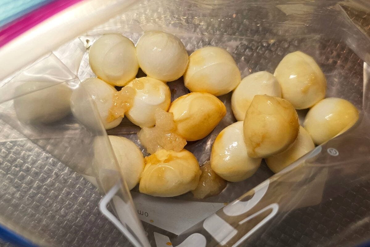 モッツァレラのごま油漬け・しょうゆ
