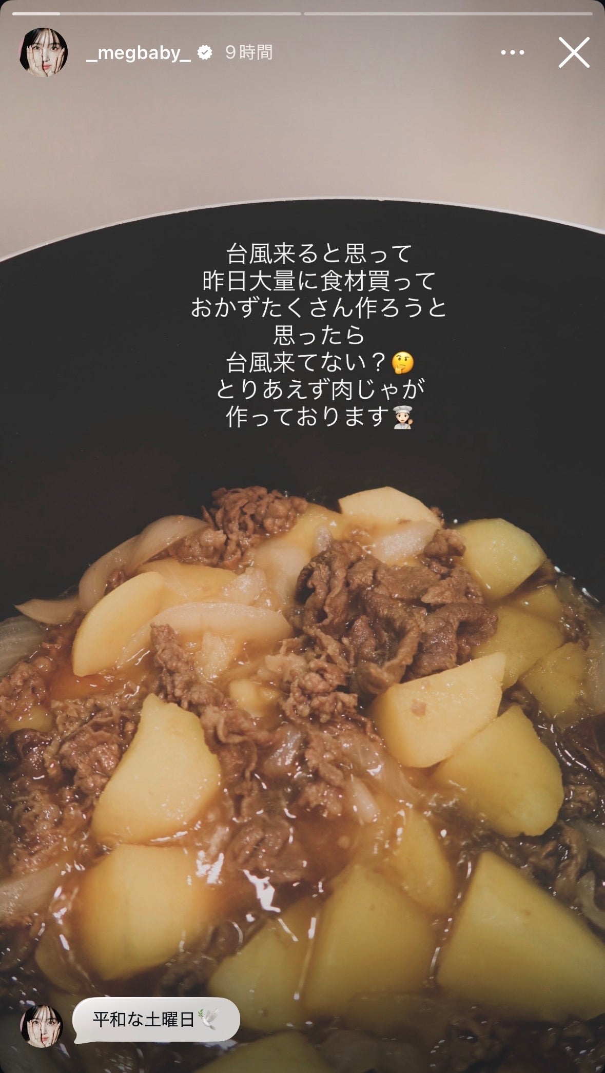 MEGBABY Instagramストーリーズより