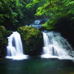 マイナスイオンたっぷりの癒し空間/提供画像