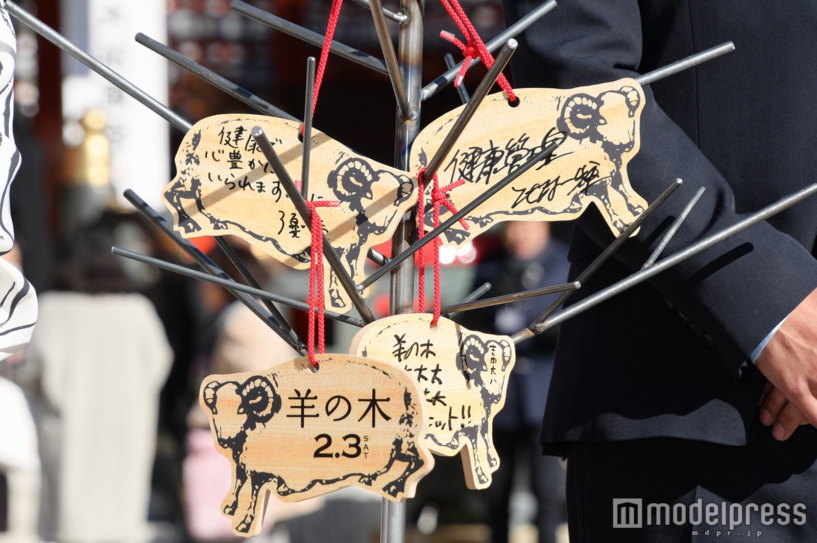 錦戸亮主演映画「羊の木」大ヒット祈願イベントより（C）モデルプレス