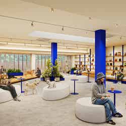 ラフラフ千葉(提供写真)