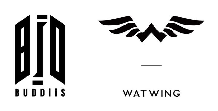 BUDDiiS&WATWING、スペシャルコラボレーションステージ(提供写真)