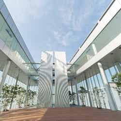 ハルカス300/画像提供:近鉄不動産