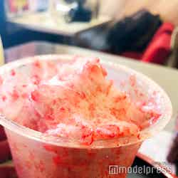 イチゴ100%/500円 練乳カケホーダイオプション(100円)もご一緒にいかが? (C)モデルプレス