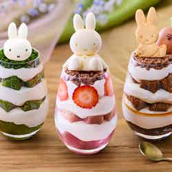 ミッフィーのフラワーブルームガーデン/提供画像