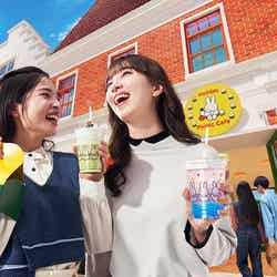 ホリデーピクニックカフェ/提供画像