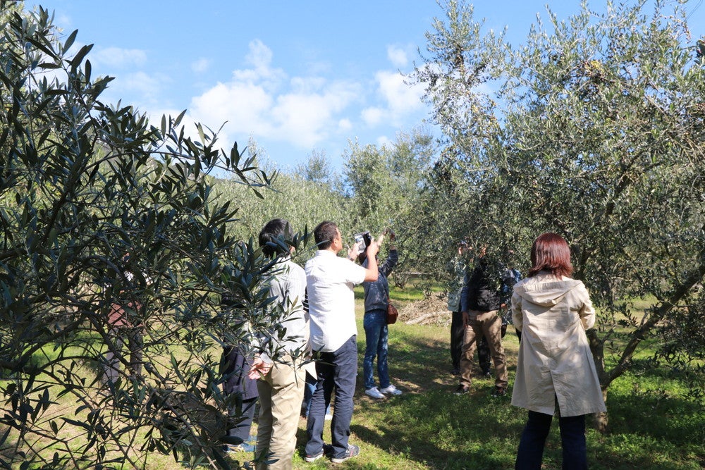 おとまり忠左衛門「吉野」／画像提供：井上誠耕園
