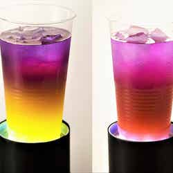 バタフライピー/画像提供:セドナグローバル