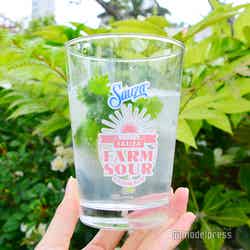 「GREEN UP!」会場の様子(C)モデルプレス