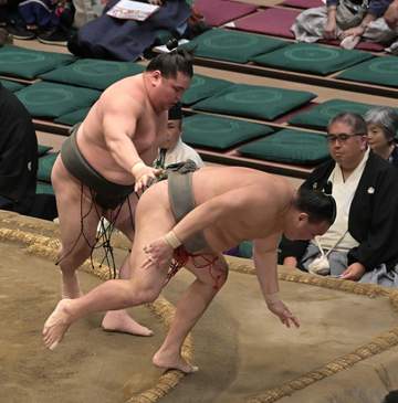 旭富士6勝1敗で今場所終える、史上最速タイ新十両は確実【大相撲】