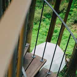 ツリーハウス/画像提供:第一ホテルマネジメント