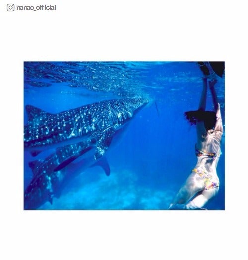 菜々緒Instagramより