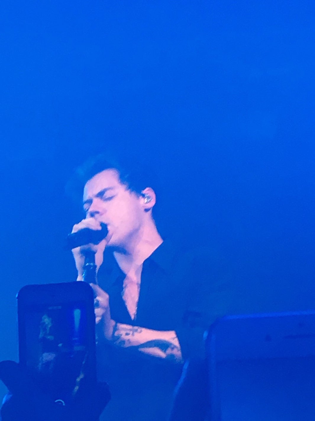 ハリー・スタイルズ（提供画像）