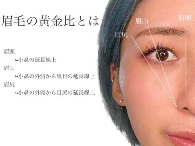 眉毛の黄金比　解説