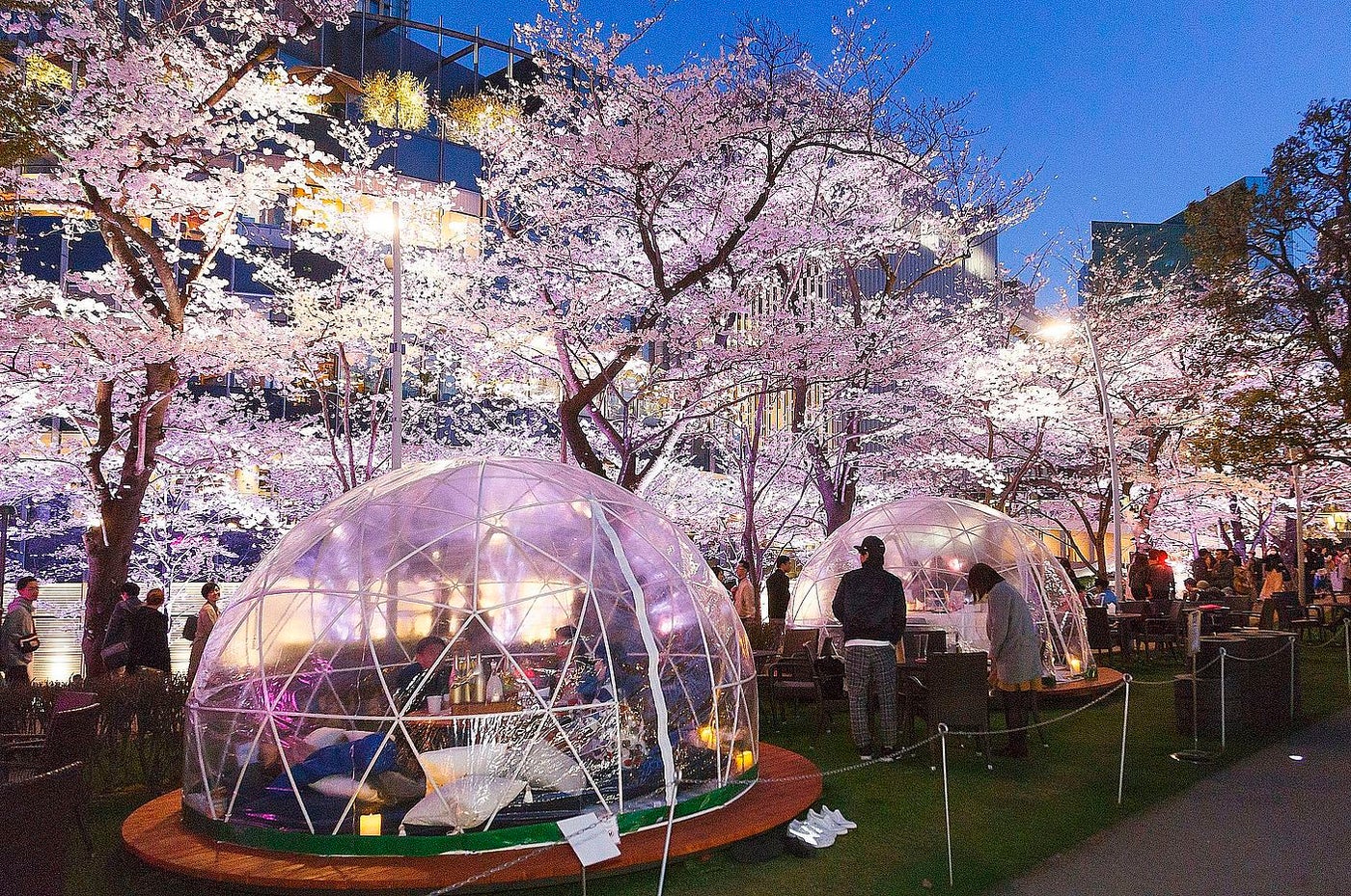 ドーム型テント席／画像提供：東京ミッドタウンマネジメント株式会社
