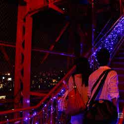 青い星の外階段／画像提供：東京タワー