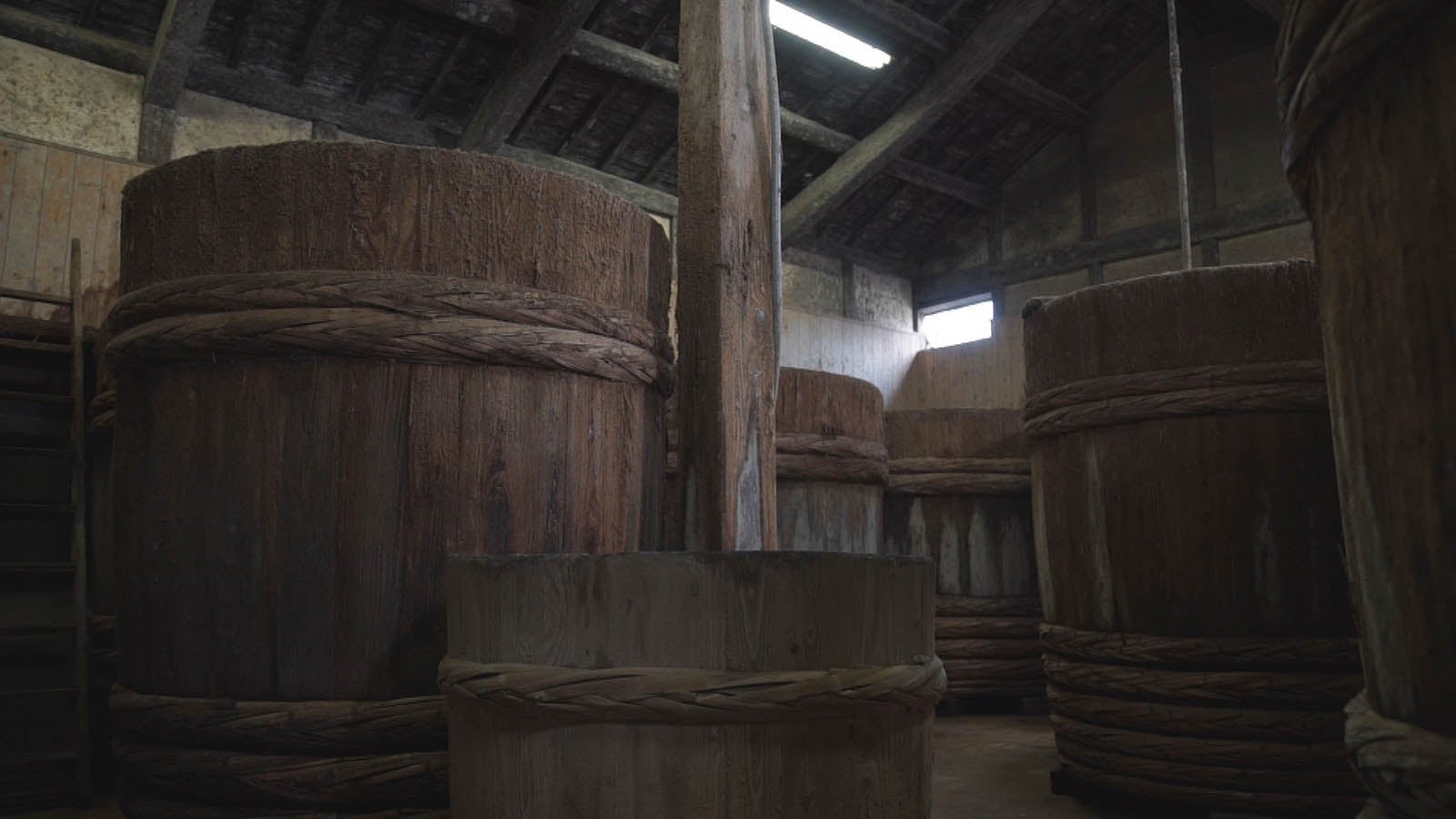 「最後の○○ ～日本のレッドデータ～」（C）NHK