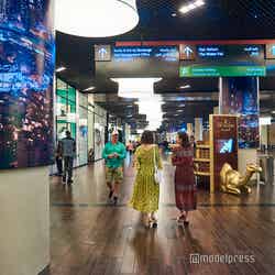 圧巻のスケール「ドバイ・モール」(C)モデルプレス