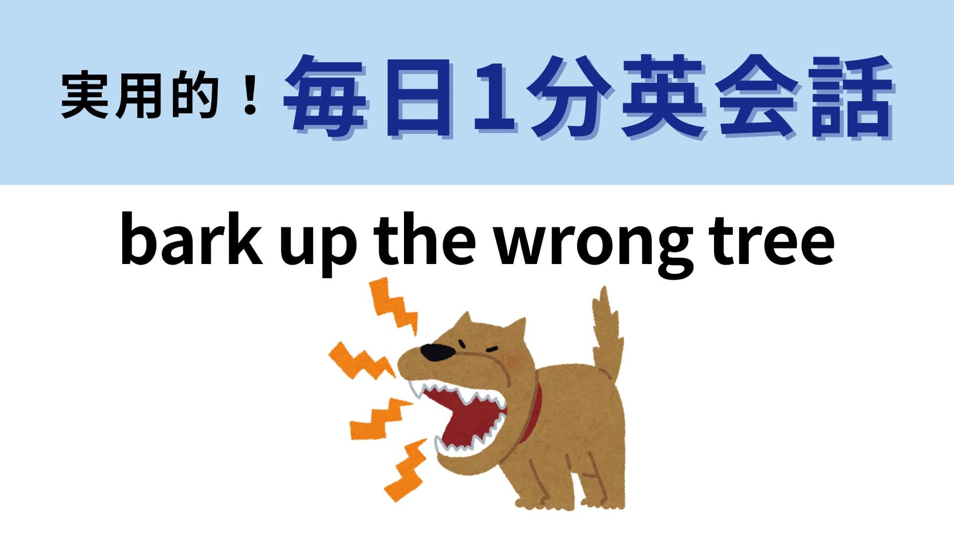 「bark up the wrong tree」の意味は？“間違った木に吠える”とは、つまり…！？【1分英会話】