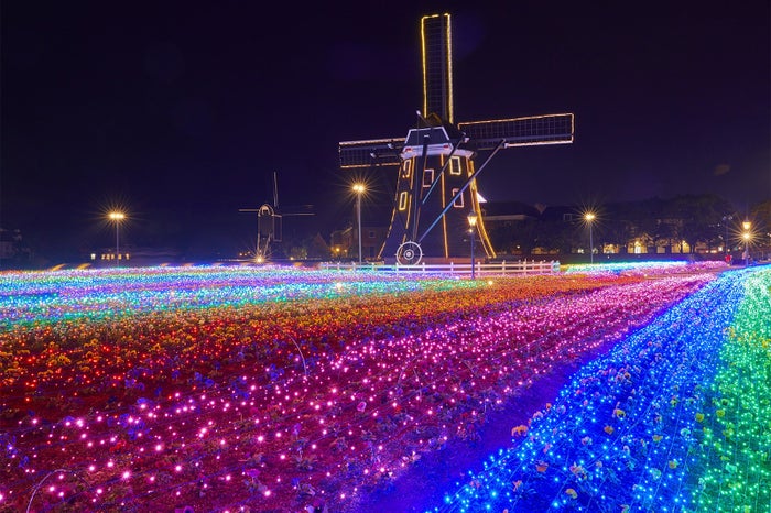 レインボーフラワーガーデン／画像提供：ハウステンボス
