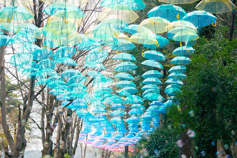 ムーミン谷とアンブレラ（C）Moomin Characters