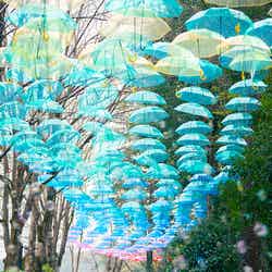 ムーミン谷とアンブレラ(C)Moomin Characters