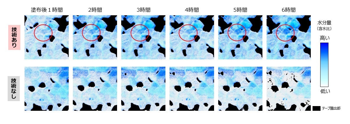 新技術により角層細胞が周囲の水分を引き寄せ、水分量が増加していく様子（提供素材）